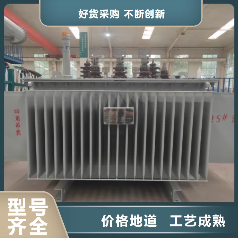 S11-100KVA/35KV/10KV/0.4KV油浸式变压器学校