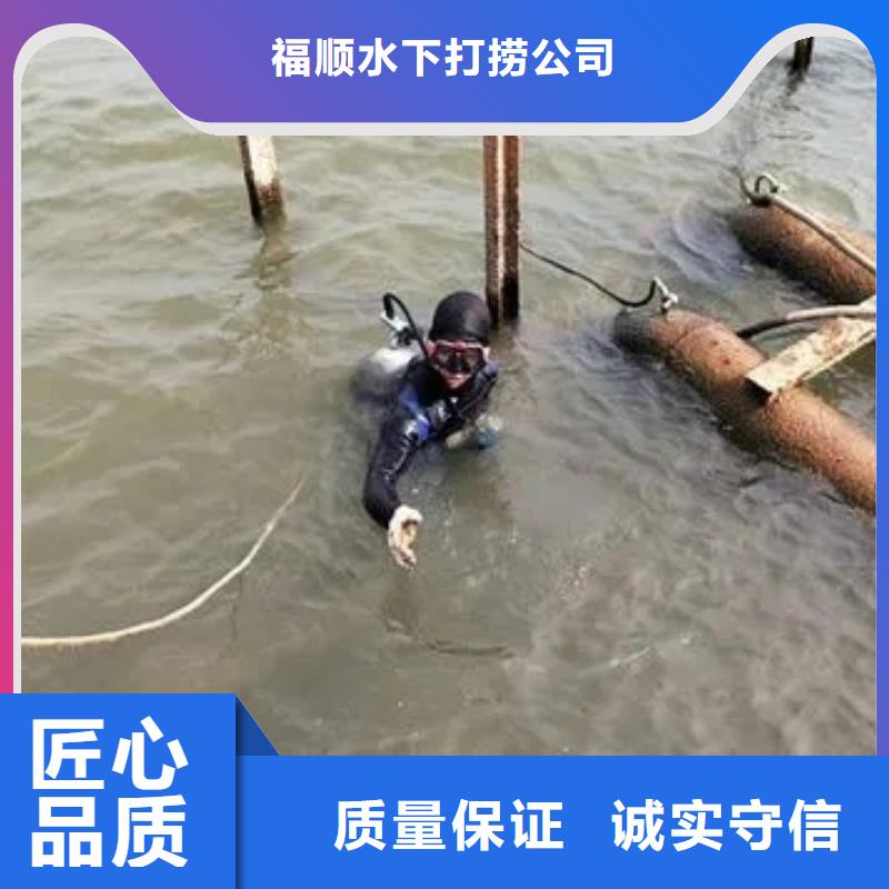 广安市邻水县水下打捞手串

打捞公司