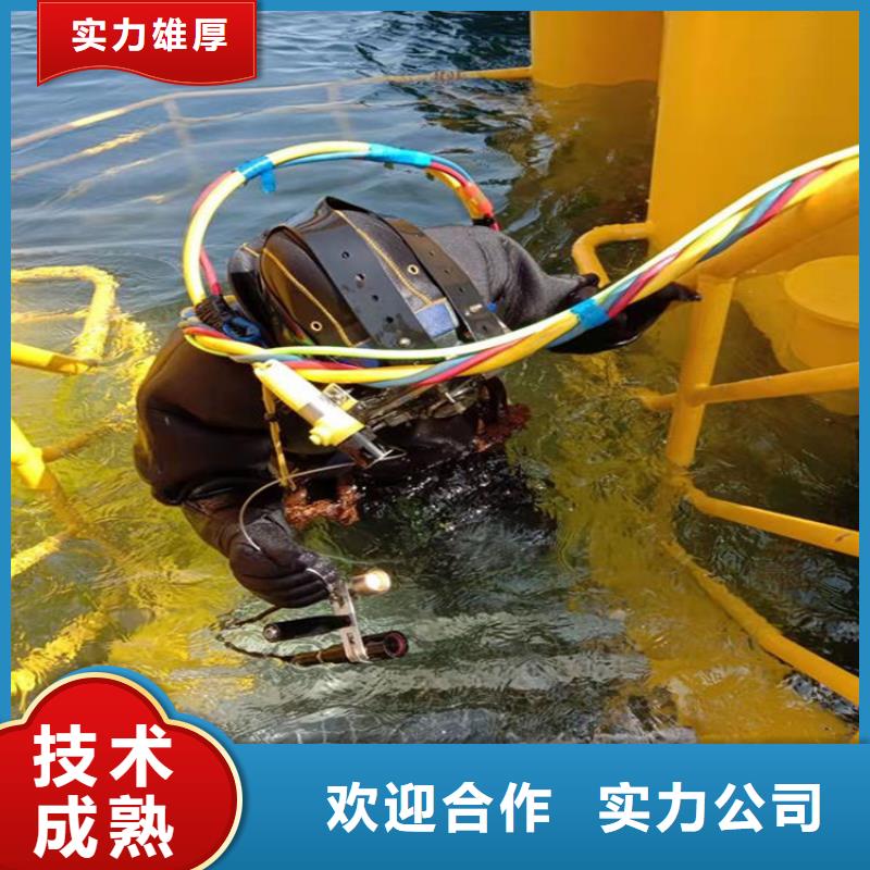 重庆市大足区



水下打捞溺水者
本地服务