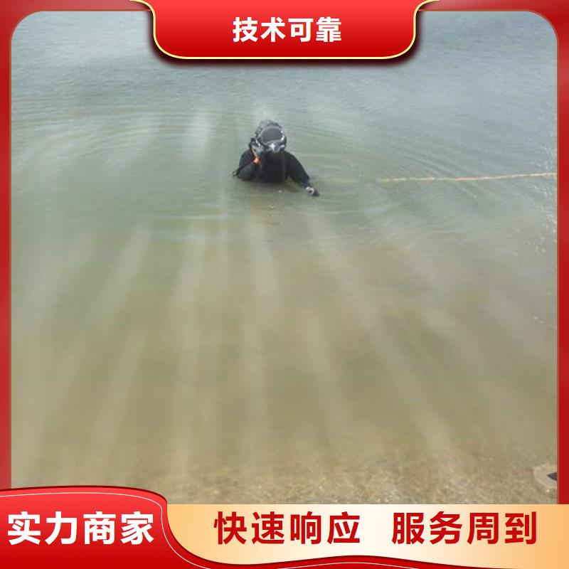重庆市九龙坡区
水库打捞貔貅

打捞服务