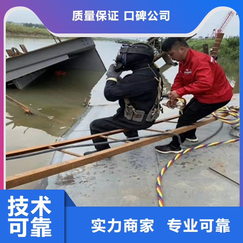 污水中水鬼潜水更换曝气盘厂家直供蛟龙潜水