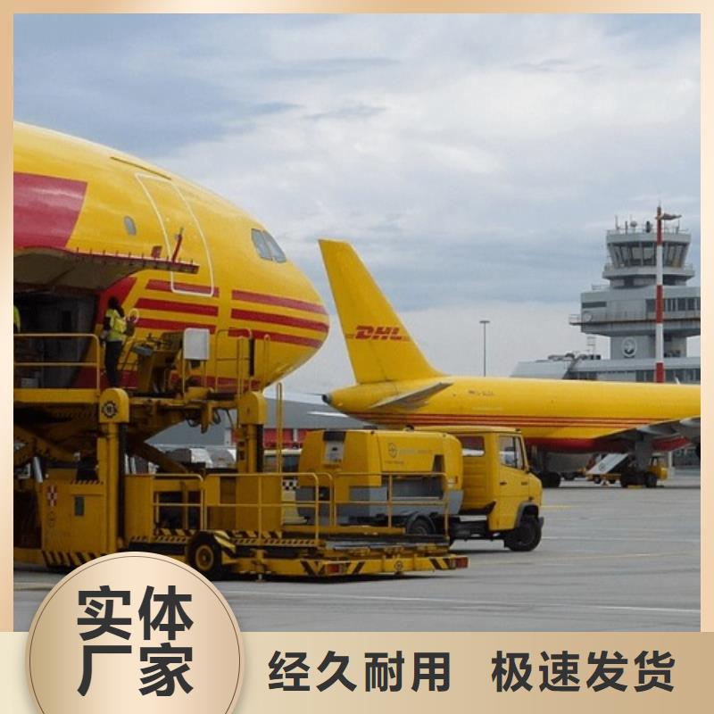 深圳dhl（2024已更新）