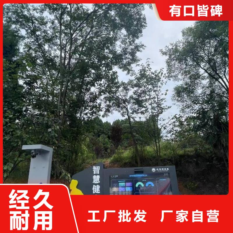 智能步道费用（维艾狄尔）