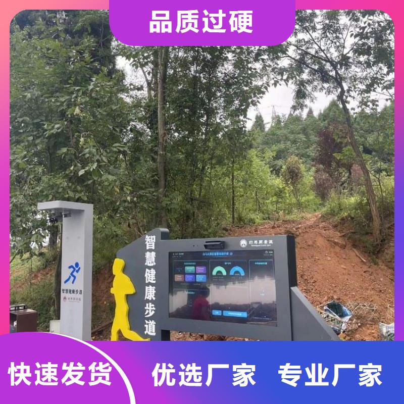 智慧赛道价格（维艾狄尔）