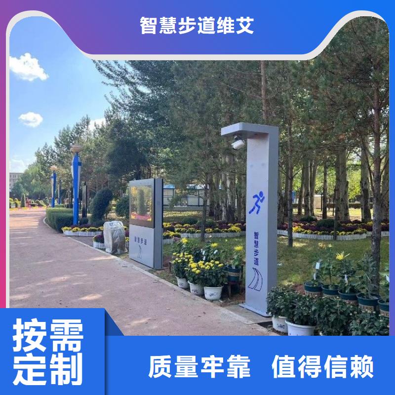 光影陪跑公司（维艾狄尔）