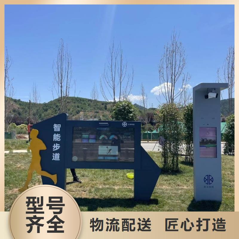 ai智能公园价格（维艾狄尔）