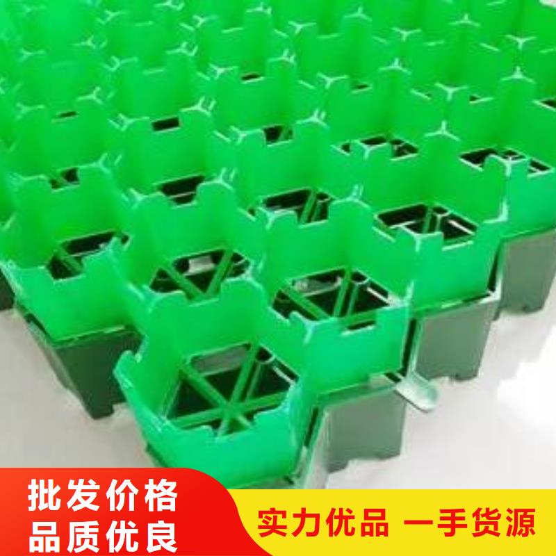 塑料植草格厂家直营发售