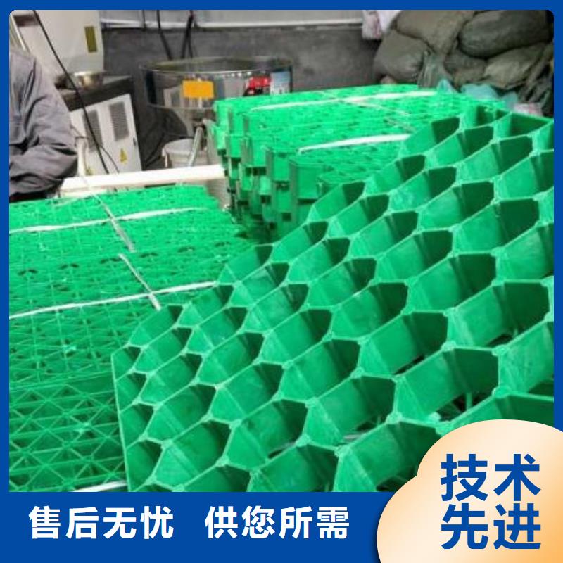 塑料植草格2024新闻