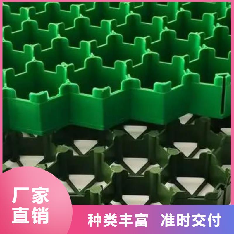 植草格2024新闻