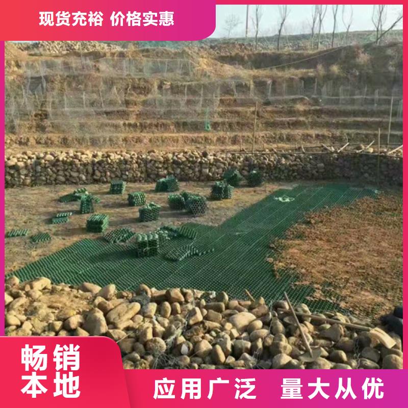 塑料植草格价格行情