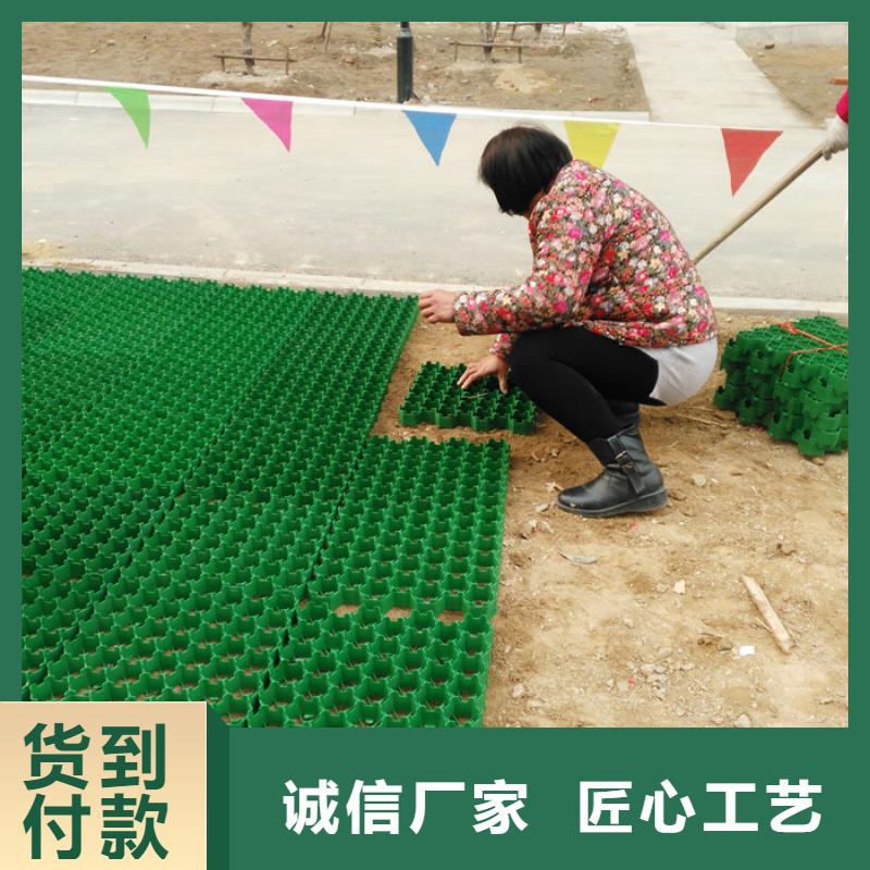 停车场植草格2024新行情价