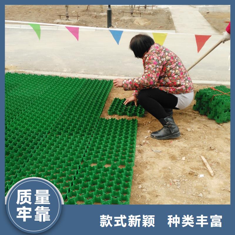 塑料植草格——24h热线