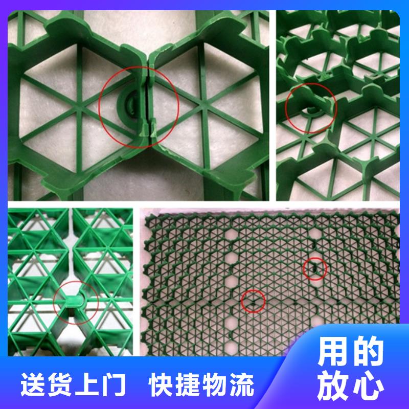 植草格水泥化粪池价格实惠