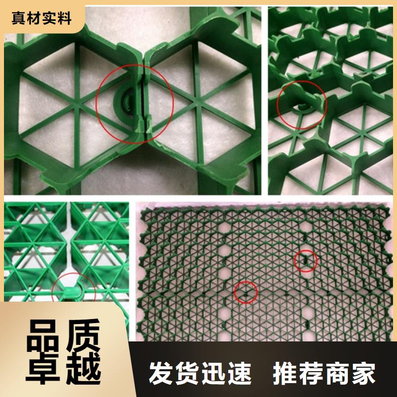 塑料植草格型号全厂家直营