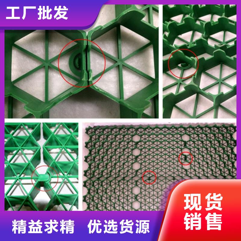 塑料植草格厂家——本地直营