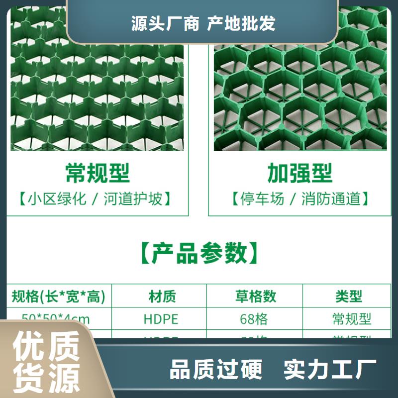 塑料植草格价格-2024已更新