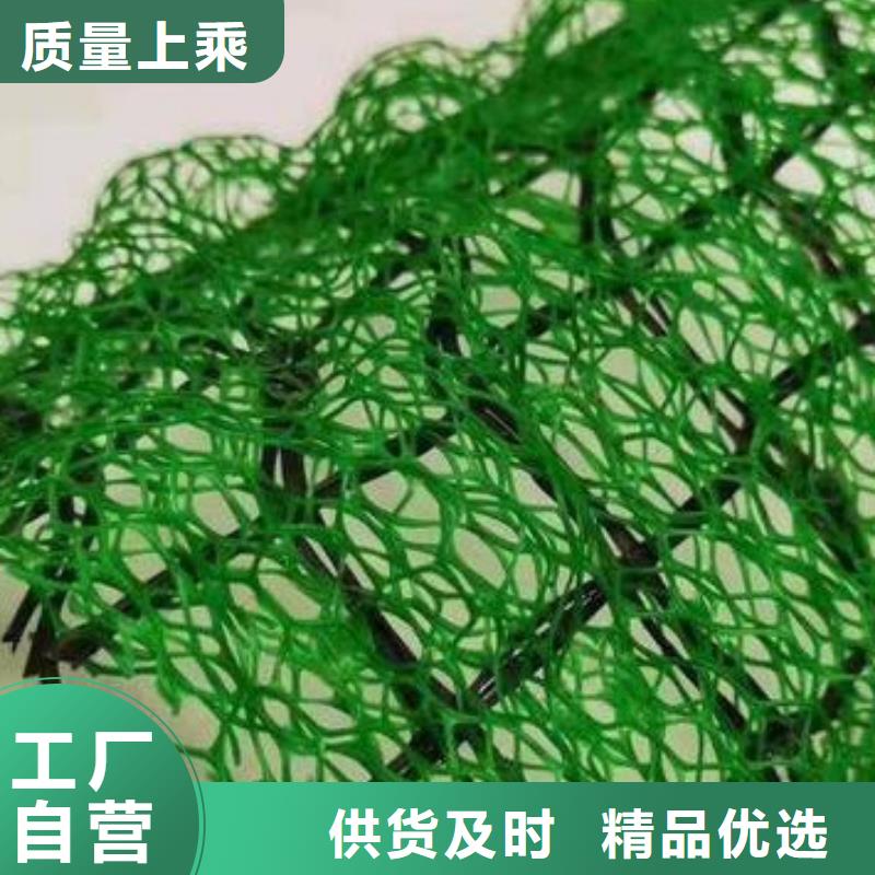 三维植被网护坡土工网厂家