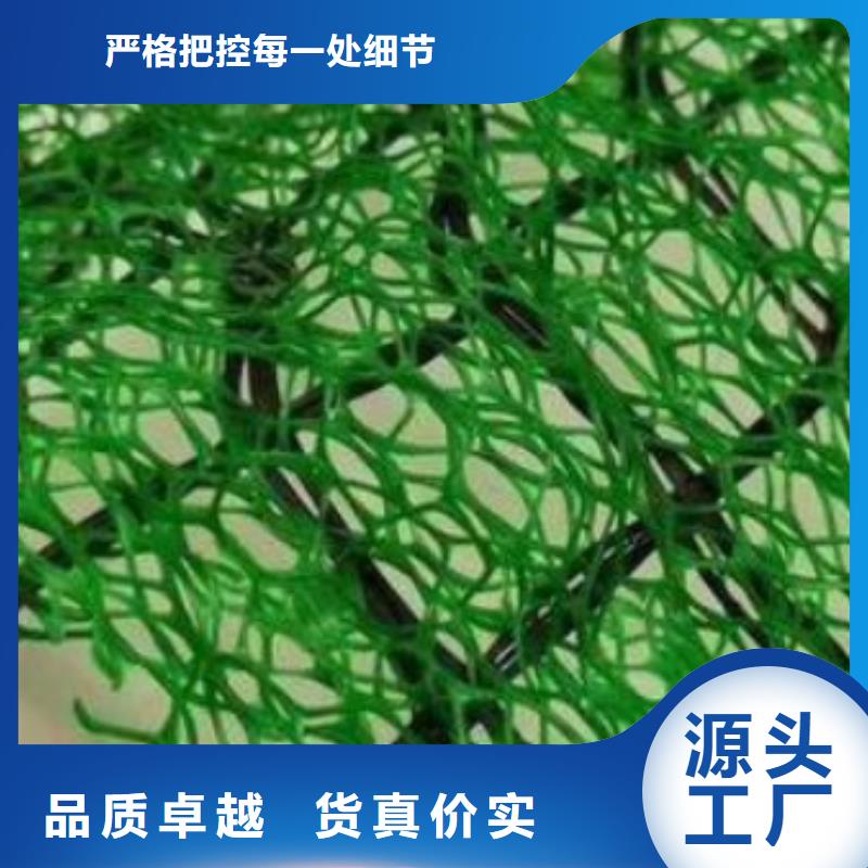 三维植被网价格