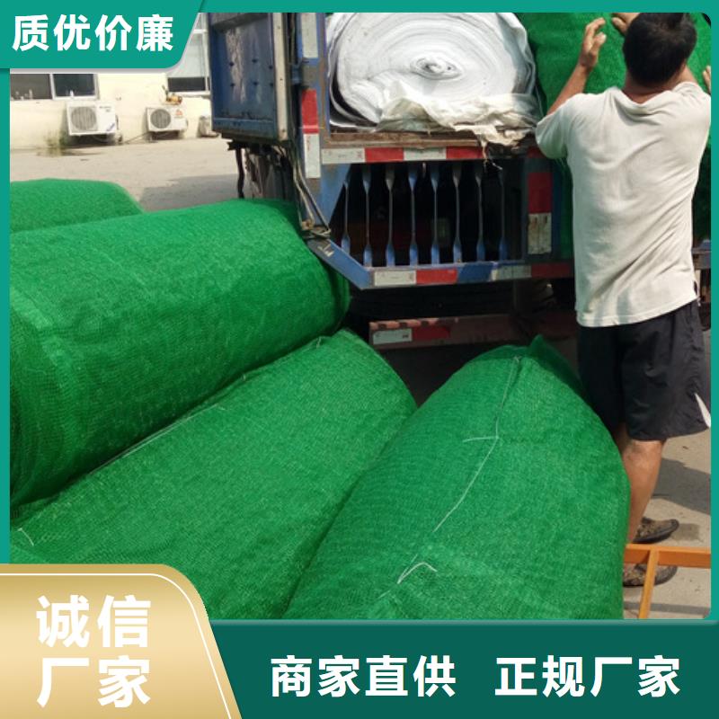 三维植被网-工厂直营