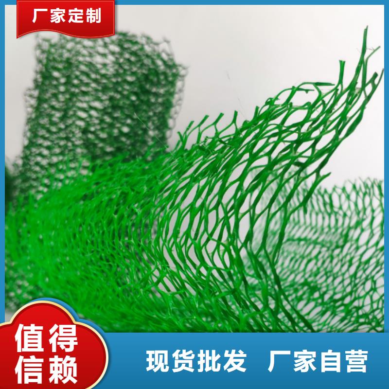 【 三维植被网,车库虹吸排水系统 批发价格】朋联排水板