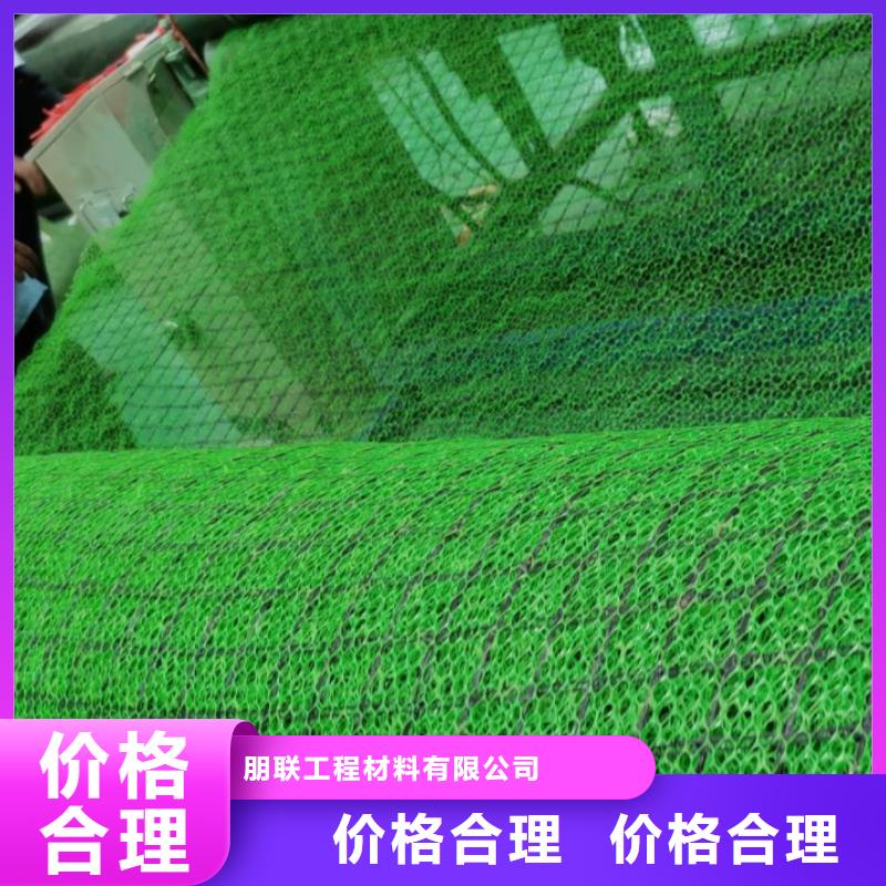 【 三维植被网,车库虹吸排水系统 批发价格】朋联排水板