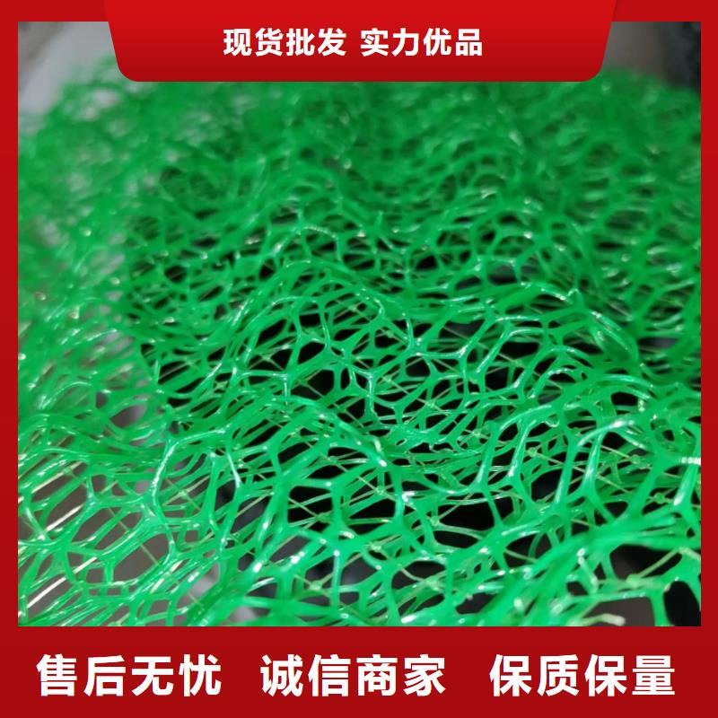 三维植被网 植草格供应商