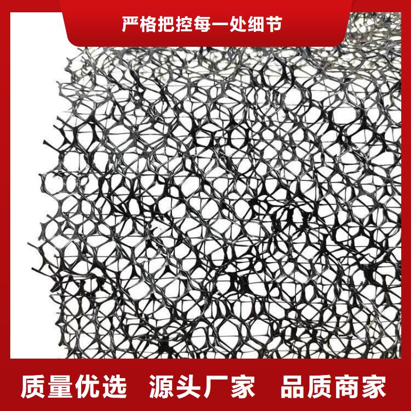 三维土工网垫欢迎咨询批发价