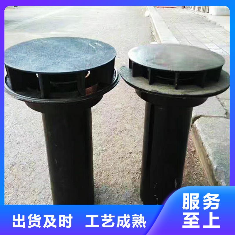 dn250柔性铸铁管优质服务