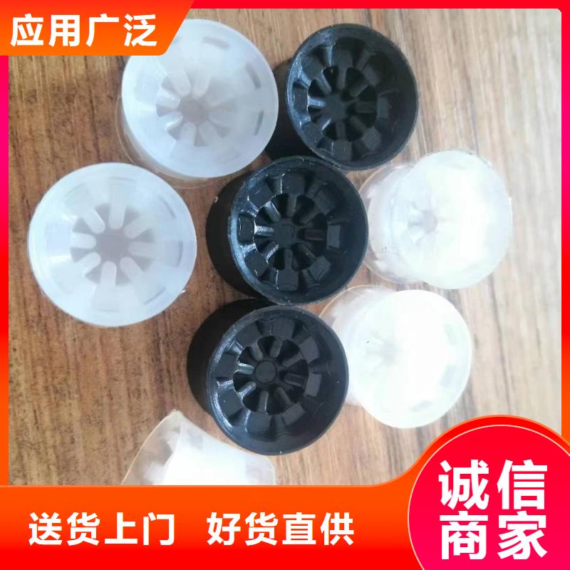 尼龙轮尼龙主动轮快速报价