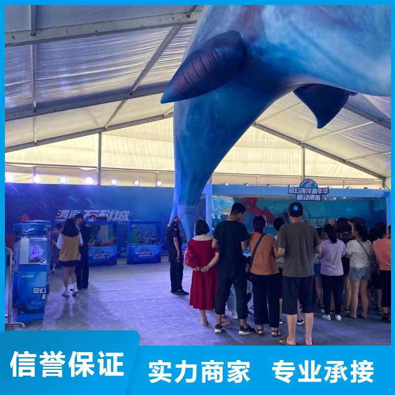 帝企鹅 低于市场价