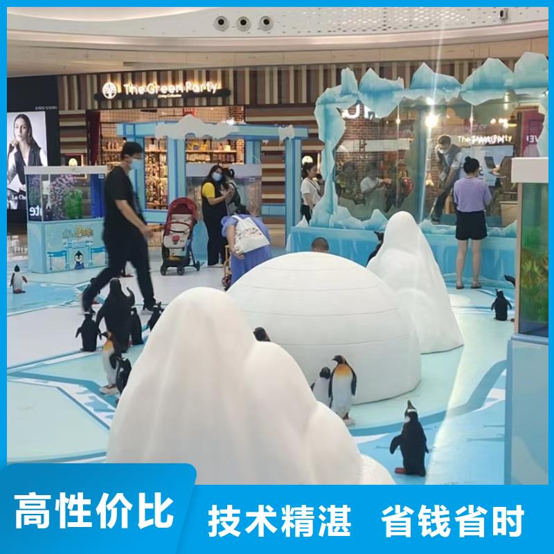 甄选:企鹅展览供货商