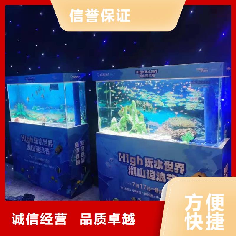 甄选:企鹅展览供货商