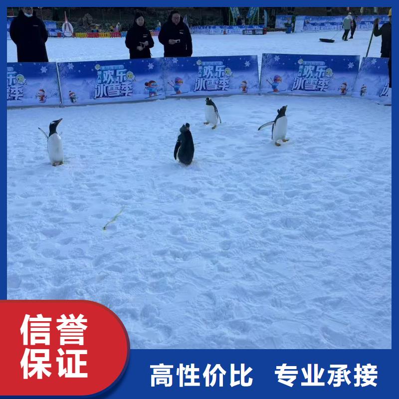 帝企鹅 低于市场价