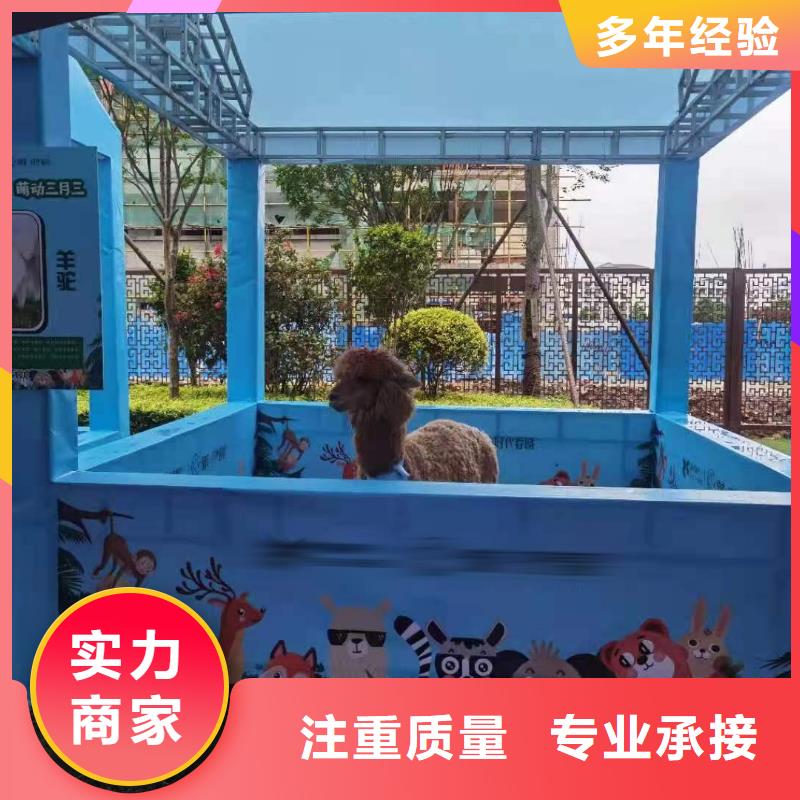 马戏团/羊驼,动物表演租赁诚信放心