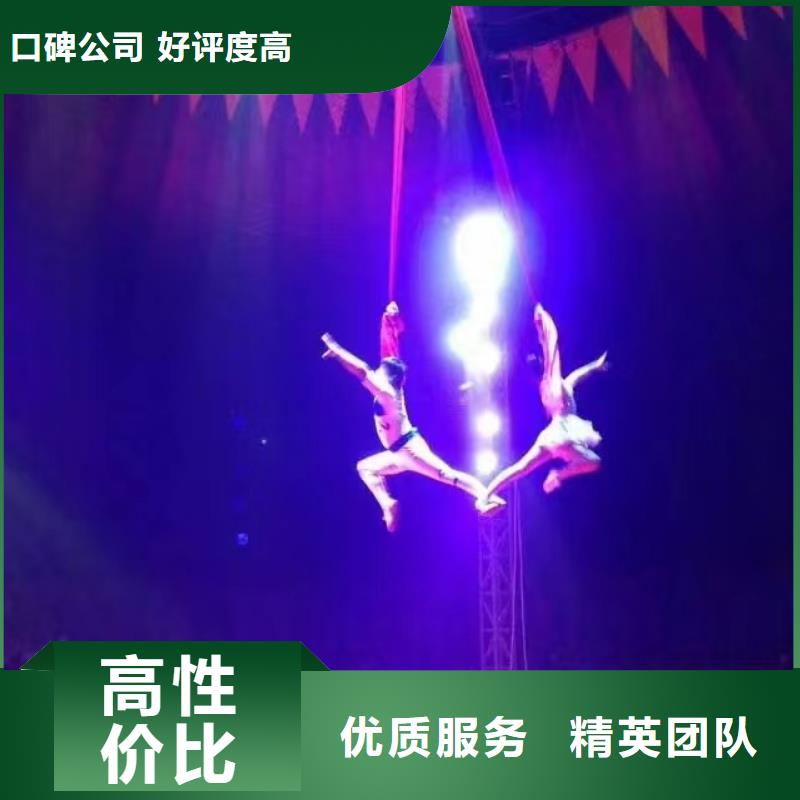 马戏团/羊驼,动物表演租赁诚信放心