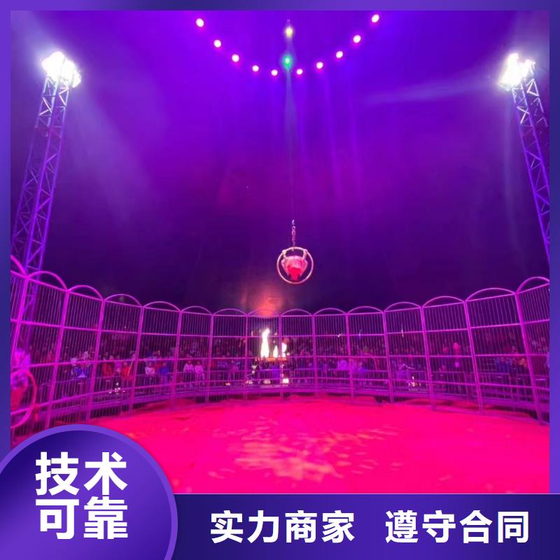 马戏团/羊驼,动物表演租赁诚信放心