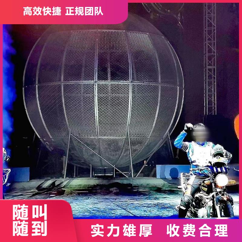 【马戏团/羊驼马戏团出租 诚信经营】