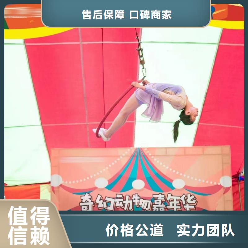 马戏团/羊驼观赏性羊驼租赁多家服务案例