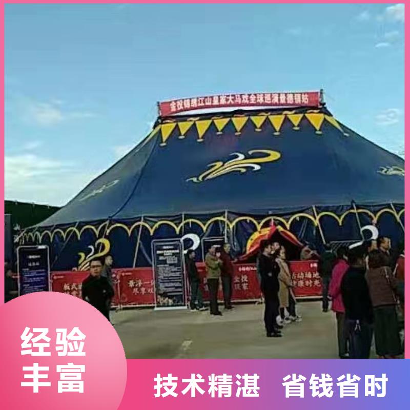 【马戏团/羊驼】海狮表演出租专业团队