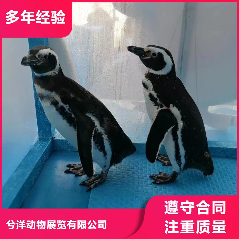 海洋生物展租赁海洋主题