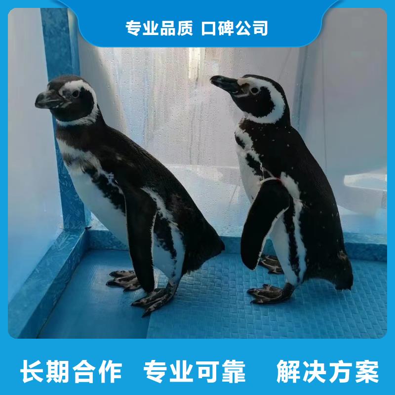 海洋生物展租赁