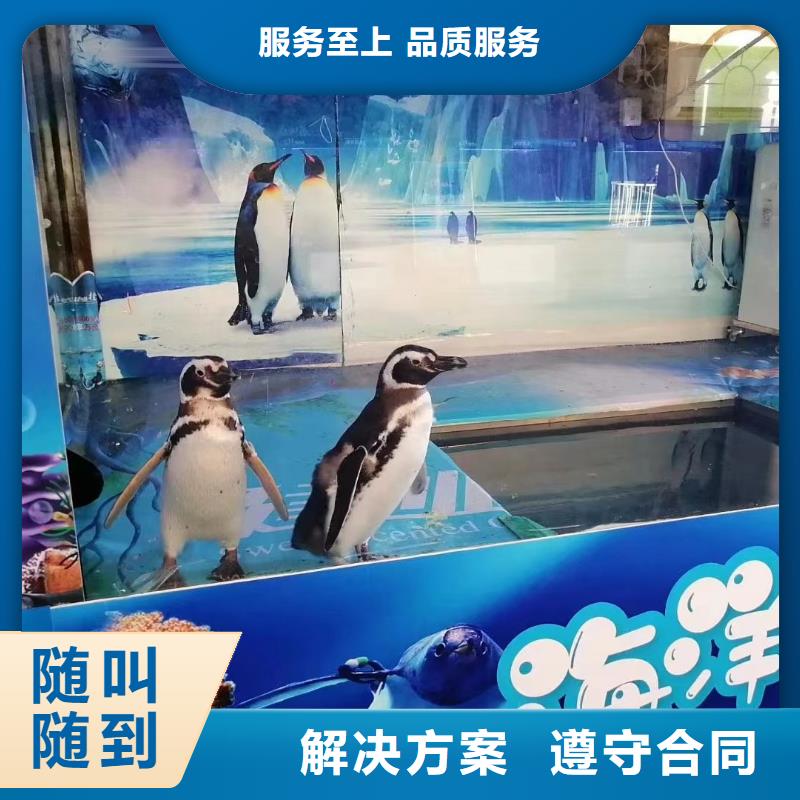 海洋生物展出租