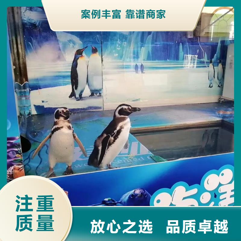 海洋生物展出租公司一手资源