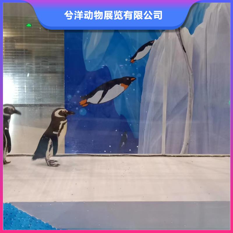 海洋生物展出租