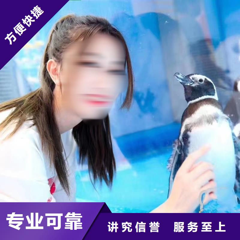 海洋生物展出租海洋主题