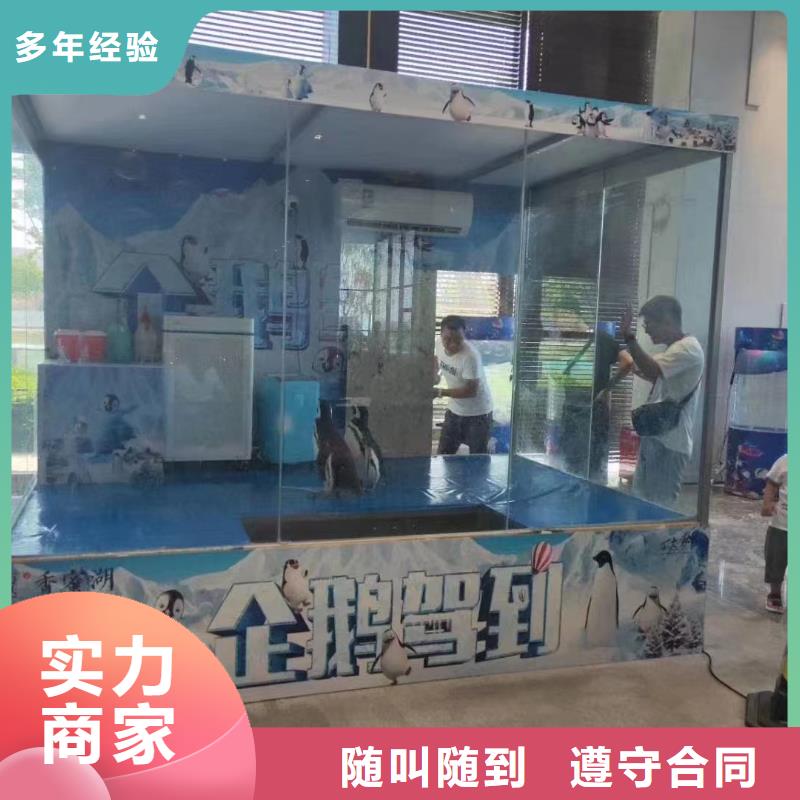 出租海洋生物展联系方式