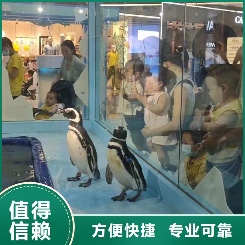 海洋生物展出租