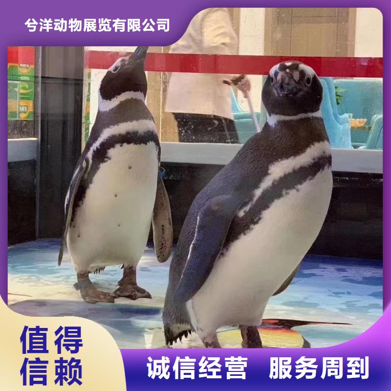 海洋生物展租赁