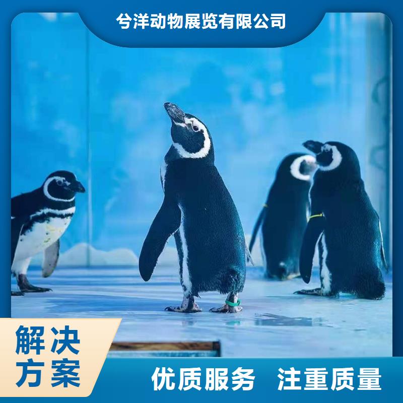 海洋生物展出租