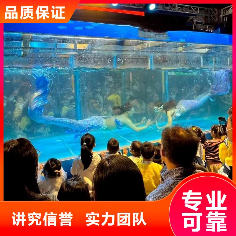 海洋主题动物表演海狮表演出租快速响应